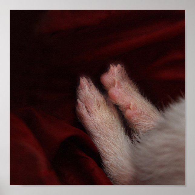 POSTER PIEDS (Devant)