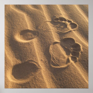 POSTER PIEDS DE SABLE