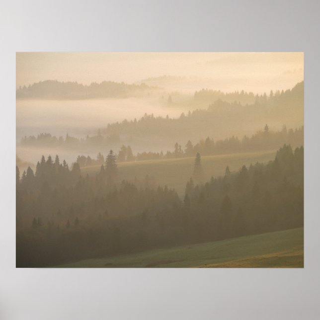 Poster Pieniny brouillard (Devant)
