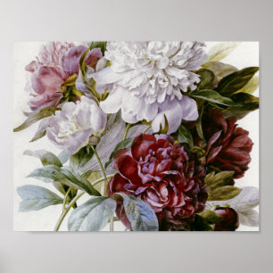 Poster Pierre Joseph Redoute - Un tournoi de bouquet