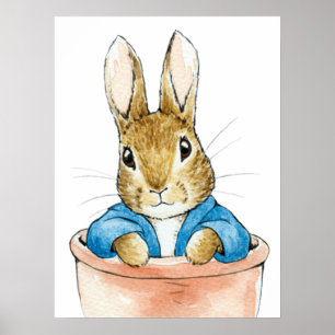 Poster Pierre le lapin assis dans un pot de plante