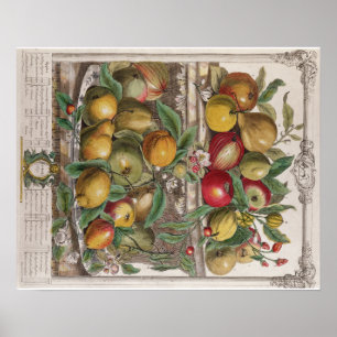 Poster Pieter Casteels, Douze mois de fruits, avril