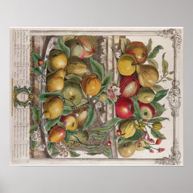 Poster Pieter Casteels, Douze mois de fruits, avril (Devant)