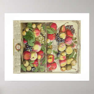 Poster Pieter Casteels, douze mois de fruits septembre