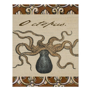 Poster Pieuvre Kraken Antique Faune Marine Côtière