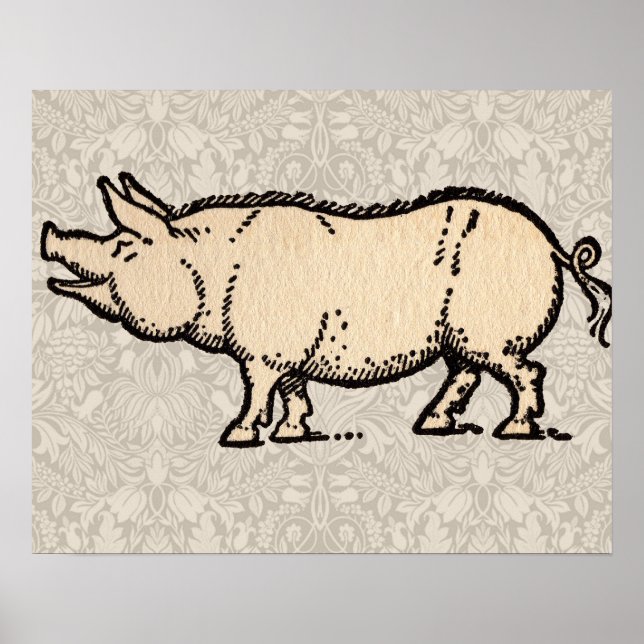Poster Pig Antique Piggy Cute Vintage (Devant)