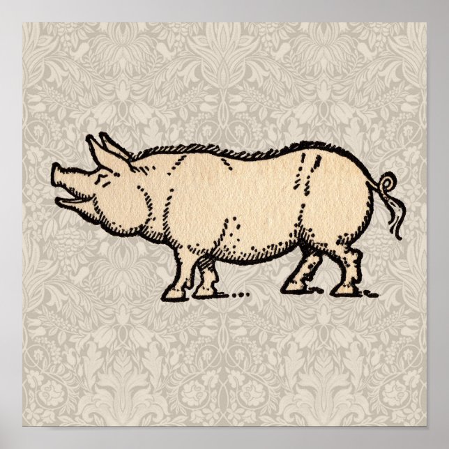 Poster Pig Antique Piggy Cute Vintage (Devant)