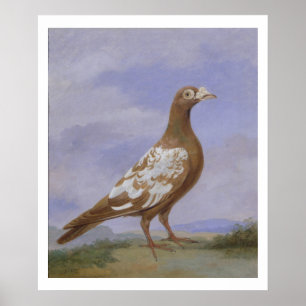 Poster Pigeon porte-pieux rouge (huile sur toile)