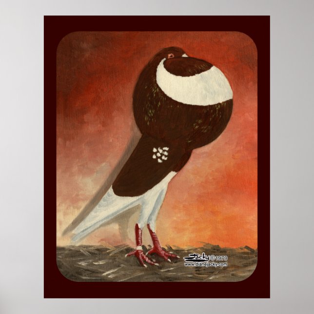 Poster Pigeon rouge Norwich (Devant)