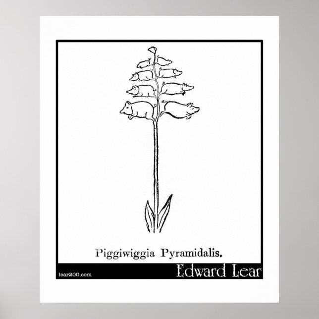 Poster Piggiwiggia Pyramidalis. (Devant)