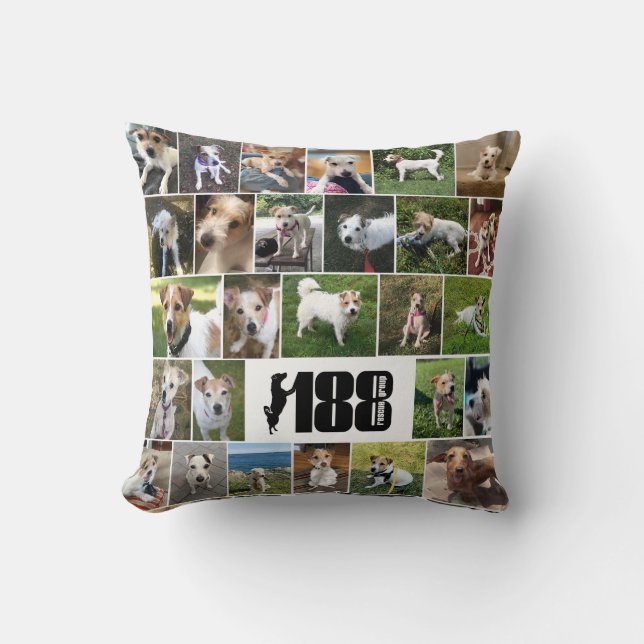 Poster-Pillow der 188 Rettungsgruppe Kissen (Vorderseite)