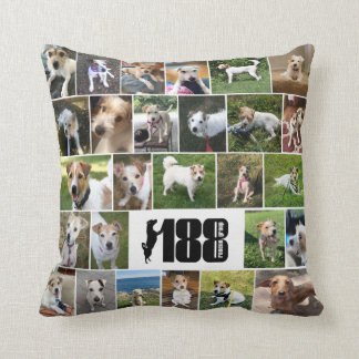 Poster-Pillow der 188 Rettungsgruppe Kissen