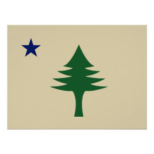 Poster Pin et étoile 1901 drapeau de l'état du Maine