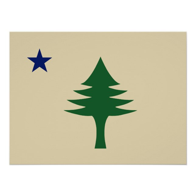 Poster Pin et étoile 1901 drapeau de l'état du Maine (Devant)