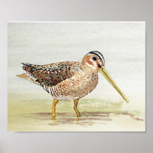 Poster Pinceau commun