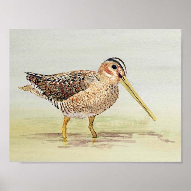 Poster Pinceau commun (Devant)