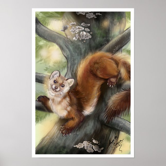 Poster Pine Marten (Devant)