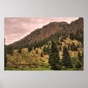 Poster pine tree beauty print