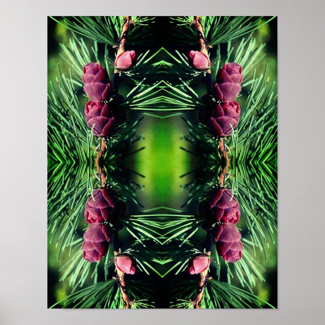 Poster Pinecones miniatures proches Abstraits (Devant)