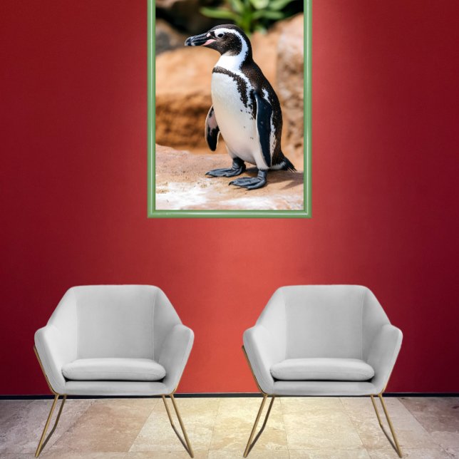Poster Pingouin des Galapagos (Créateur téléchargé)