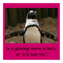 Pingouin ménopausal