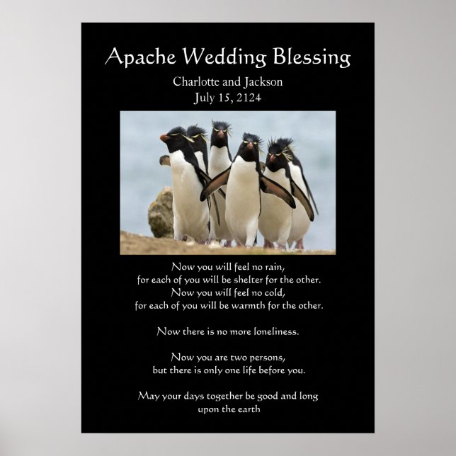 Poster Pingouins Bénédiction Mariage Apache (Devant)