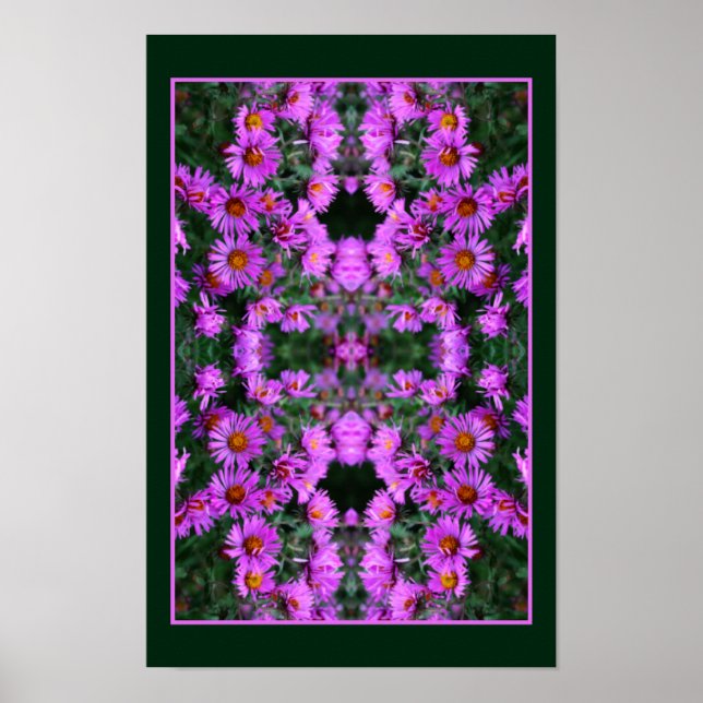 Poster Pink Autumn Aster Flowers Orton Abstrait (Devant)
