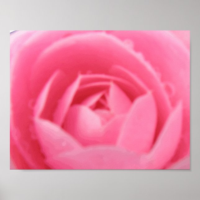 Poster Pink Camelia (Devant)