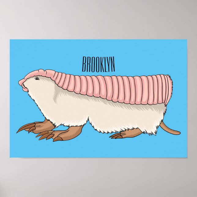 Poster Pink fairy armadillo (Devant)