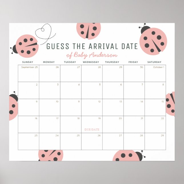 Poster Pink Ladybugs Guess The Due Date Calendar (Devant)