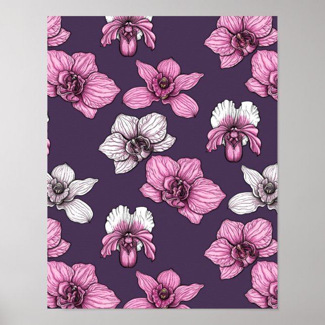 Poster Pink orchid flowers (Devant)