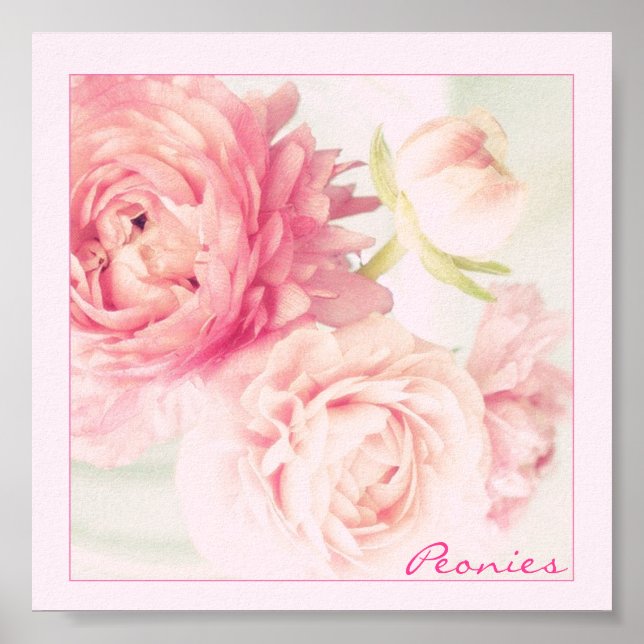 Poster Pink Peonies (Devant)