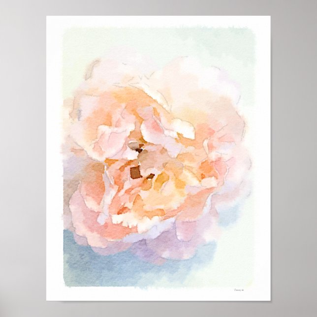 Poster Pink Peony, aquarelle (Devant)