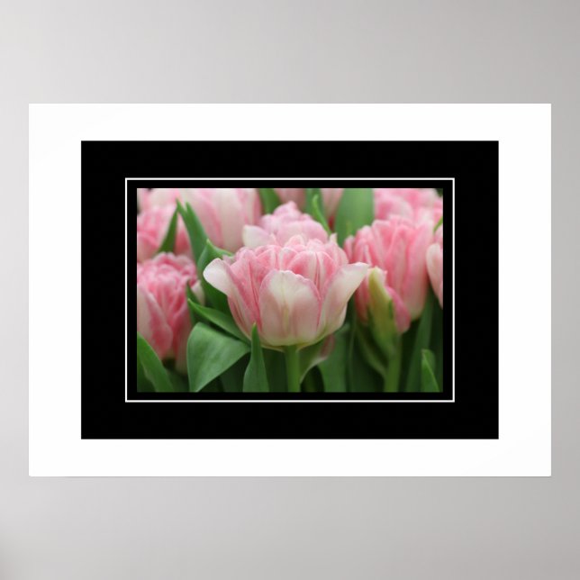 Poster Pink Tulips (Vorne)
