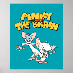 Poster Pinky et le cerveau   Afficher le logo