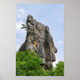 Poster Pinnacles de Shilin Forêt de pierre - Yunnan, Chin
