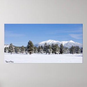 Poster Pins couverts de neige et pics San Francisco Arizo