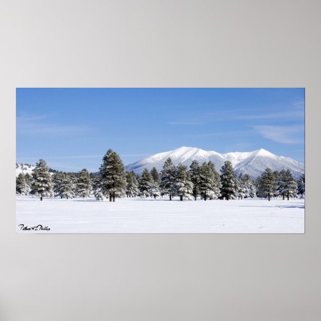 Poster Pins couverts de neige et pics San Francisco Arizo (Devant)