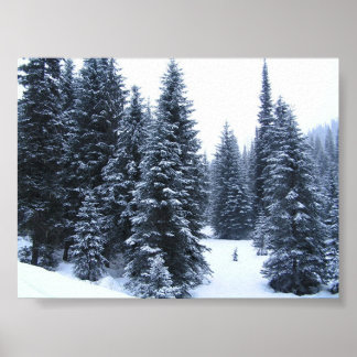 Poster Pins en hiver