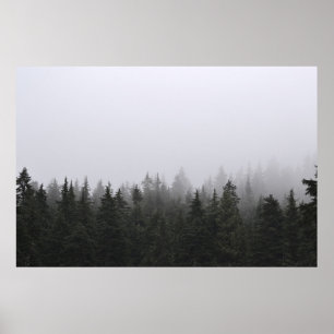 POSTER PINS VERTS SOUS LE CIEL BLANC