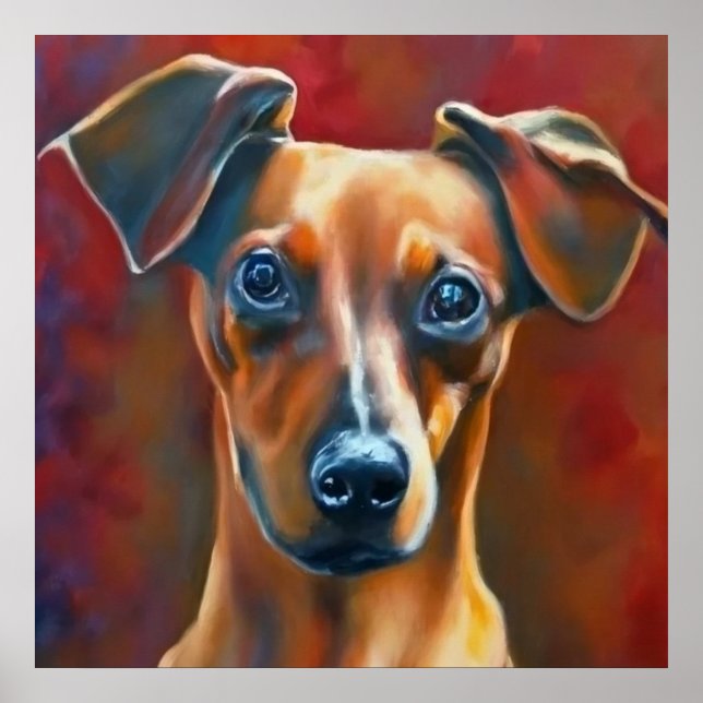 Poster Pinscher autrichien - Portrait de chien (Devant)