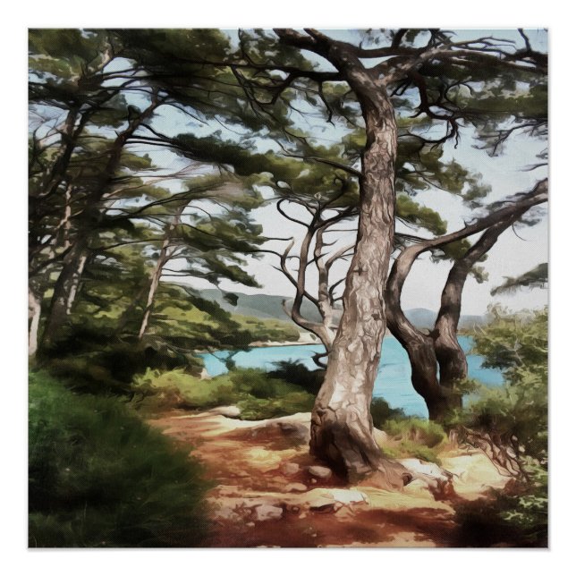 Poster Pinus pinea Pinetree Forest Painting (Devant)