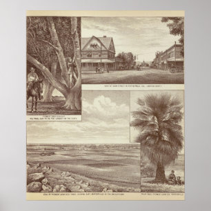 Poster Pioneer Land Co, contrat, Porterville