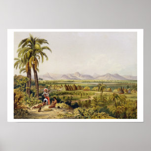 Poster Pirara et lac Amucu, le site d'Eldorado, copie