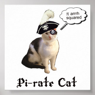 Poster PiRateCat