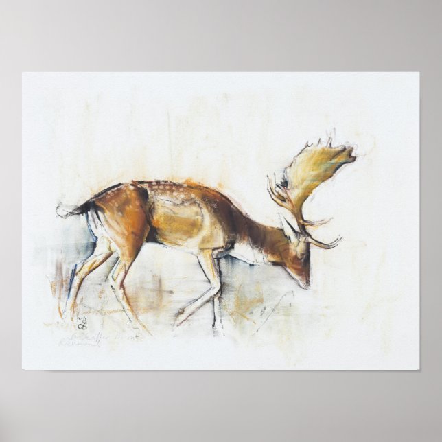 Poster Pisanello Buck 2006 (Devant)