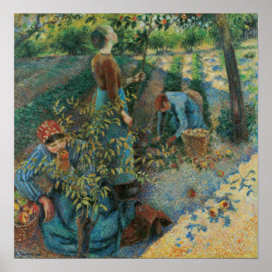 Poster Pissarro - Cueillette de pommes