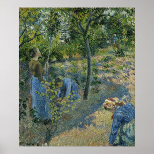 Poster Pissarro - Cueillette de pommes 1881