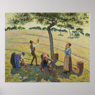 Poster Pissarro - Cueilleurs de pommes Eragny 1888