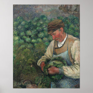 Poster Pissarro - Le Gardener Vieux Paysan Avec Chou